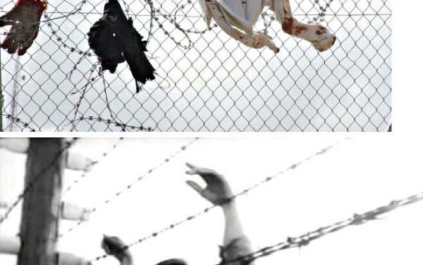 Cicatrices de la tierra, del cuerpo y del alma